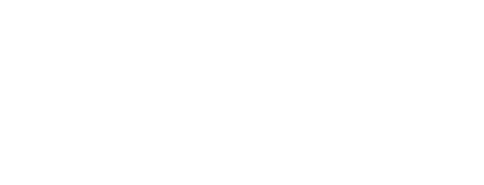 Engion Engineering
